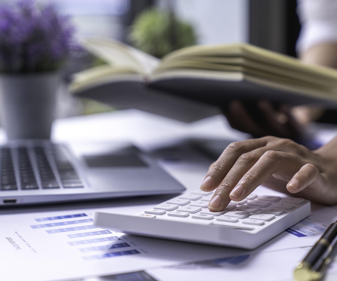 photo of a bookkeeper in Maitland